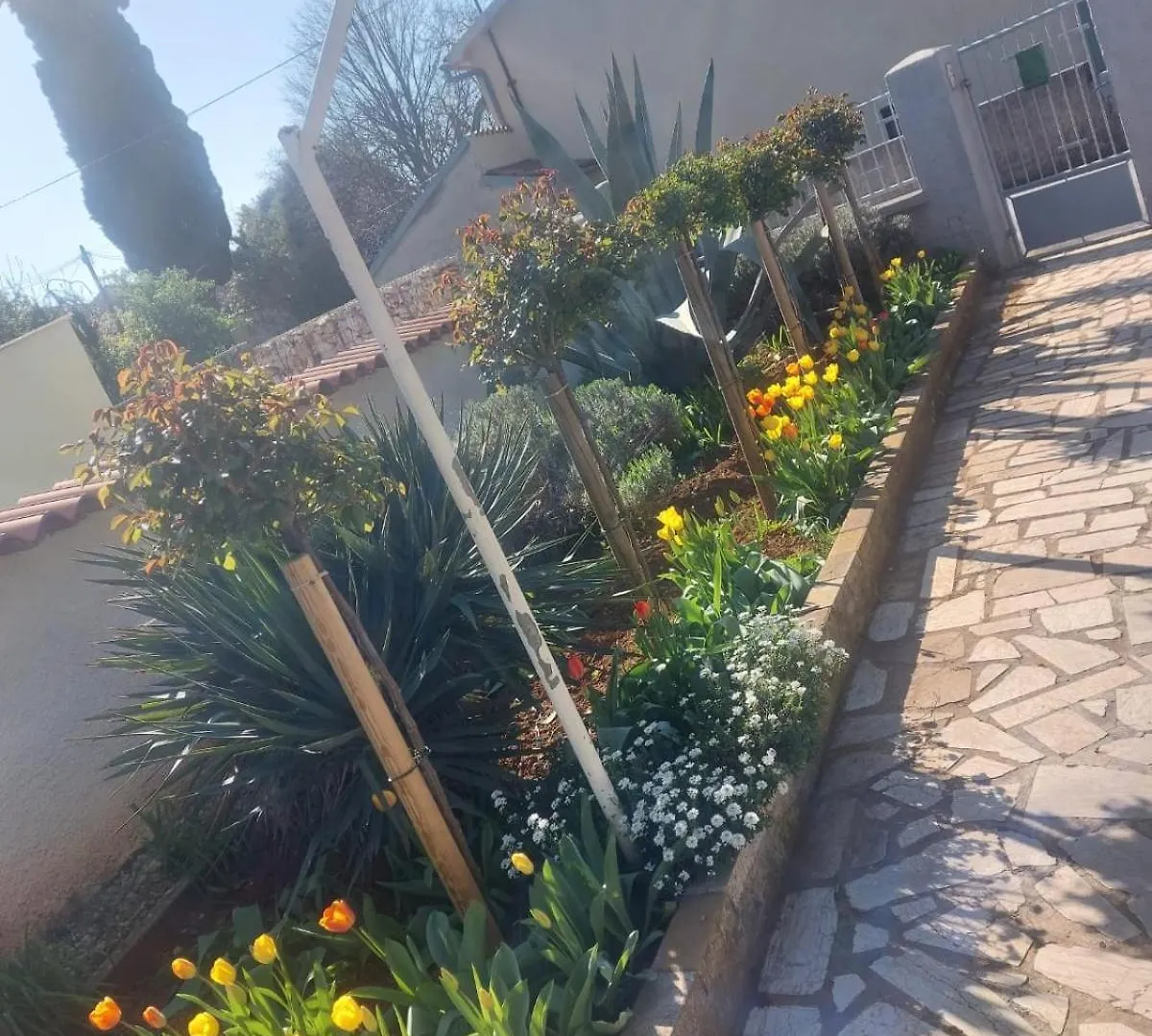 Apartment Apartman Nikolina Pula Croatia