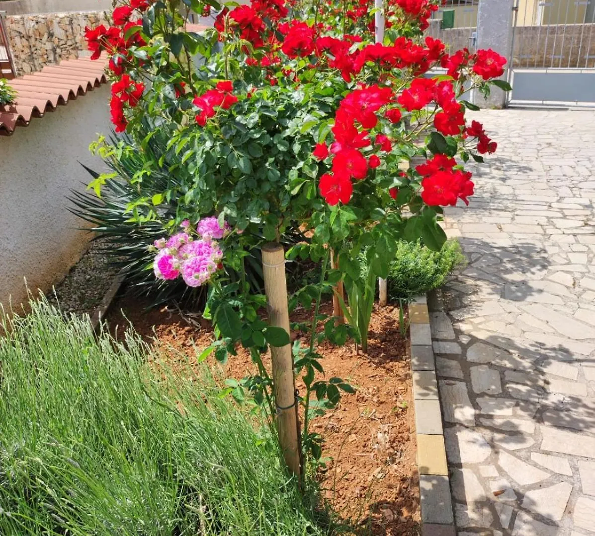Apartman Nikolina Pula